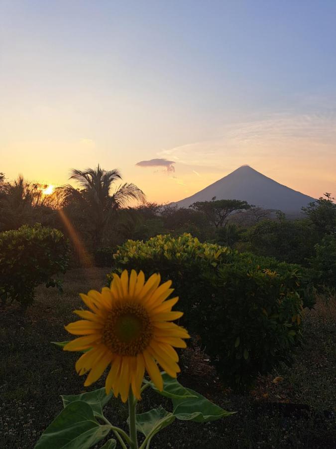 Hostel Santa Cruz Ometepe Altagracia 외부 사진